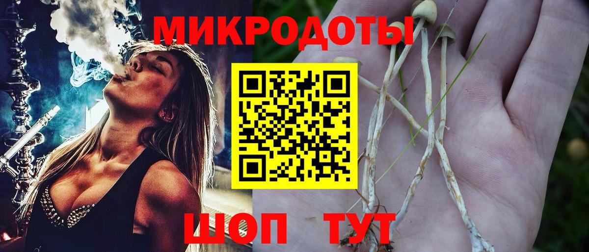 Добрянка  Псилоцибиновые грибы мухоморы  Вход с VPN 